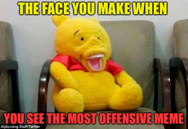 THE DANKEST POOH | THE FACE YOU MAKE WHEN; YOU SEE THE MOST OFFENSIVE MEME | image tagged in the dankest pooh | made w/ Imgflip meme maker