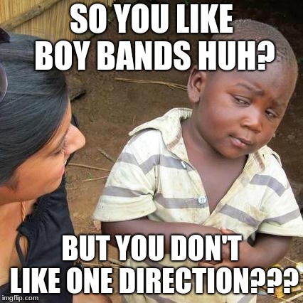 Third World Skeptical Kid | SO YOU LIKE BOY BANDS HUH? BUT YOU DON'T LIKE ONE DIRECTION??? | image tagged in memes,third world skeptical kid | made w/ Imgflip meme maker