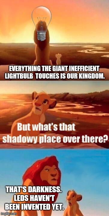 Simba Shadowy Place Meme | EVERYTHING THE GIANT INEFFICIENT LIGHTBULB
 TOUCHES IS OUR KINGDOM. THAT'S DARKNESS. LEDS HAVEN'T BEEN INVENTED YET. | image tagged in memes,simba shadowy place | made w/ Imgflip meme maker