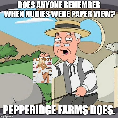 Remember walking down the road and picking up any piece of magazine hoping to see something good?  Or is that just me? | DOES ANYONE REMEMBER WHEN NUDIES WERE PAPER VIEW? PEPPERIDGE FARMS DOES. | image tagged in memes,pepperidge farm remembers,funny,funny memes | made w/ Imgflip meme maker