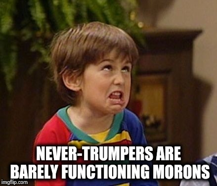 NEVER-TRUMPERS ARE BARELY FUNCTIONING MORONS | image tagged in wtf kid | made w/ Imgflip meme maker