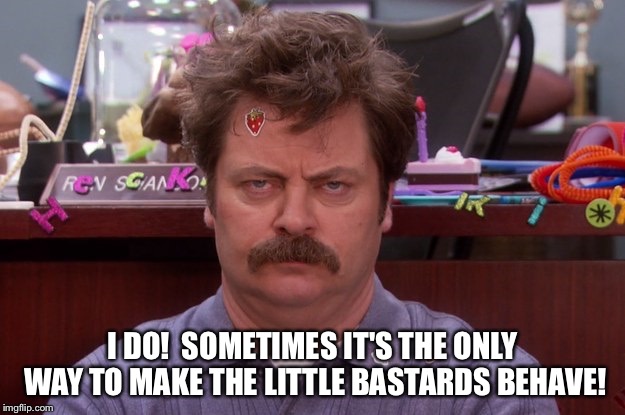 Ron Swanson Babysitter | I DO!  SOMETIMES IT'S THE ONLY WAY TO MAKE THE LITTLE BASTARDS BEHAVE! | image tagged in ron swanson babysitter | made w/ Imgflip meme maker
