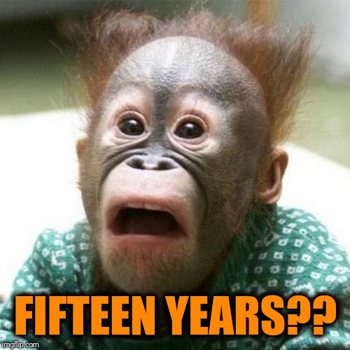 Shocked Monkey | FIFTEEN YEARS?? | image tagged in shocked monkey | made w/ Imgflip meme maker