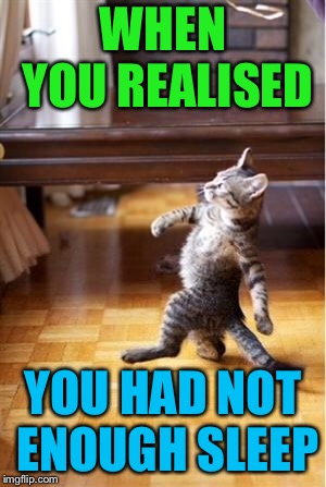 Walking Cat | WHEN YOU REALISED; YOU HAD NOT ENOUGH SLEEP | image tagged in walking cat | made w/ Imgflip meme maker
