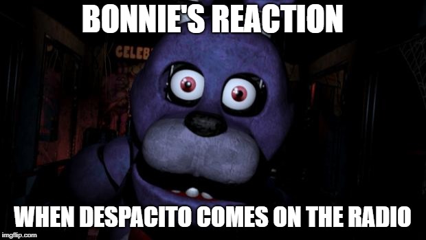 FNAF Bonnie | BONNIE'S REACTION; WHEN DESPACITO COMES ON THE RADIO | image tagged in fnaf bonnie | made w/ Imgflip meme maker