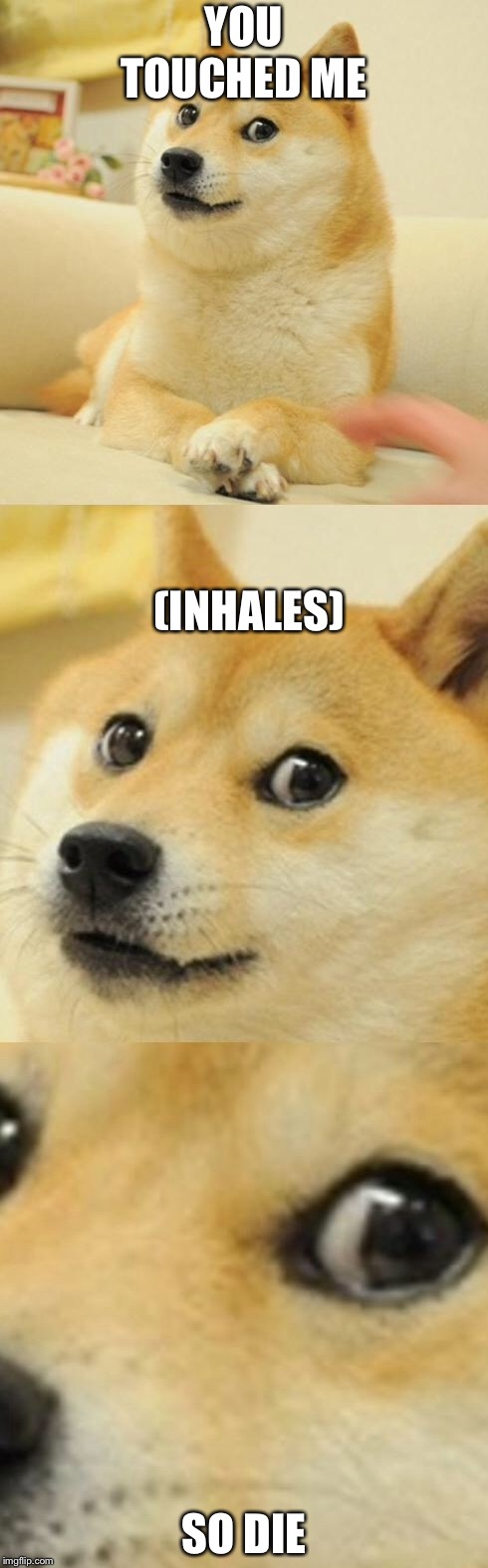 Doge Game |  YOU TOUCHED ME; (INHALES); SO DIE | image tagged in doge game | made w/ Imgflip meme maker
