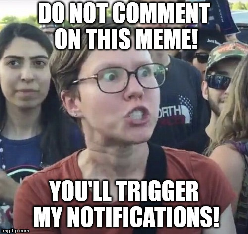 Triggered feminist | DO NOT COMMENT ON THIS MEME! YOU'LL TRIGGER MY NOTIFICATIONS! | image tagged in triggered feminist | made w/ Imgflip meme maker