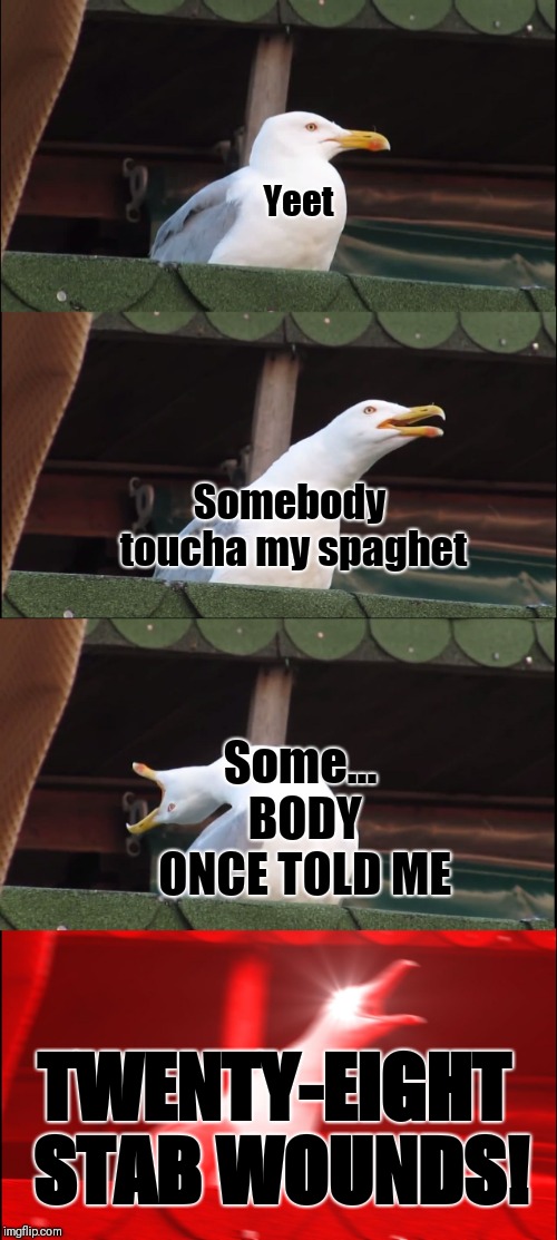 Inhaling Seagull | Yeet; Somebody toucha my spaghet; Some... BODY ONCE TOLD ME; TWENTY-EIGHT STAB WOUNDS! | image tagged in memes,inhaling seagull | made w/ Imgflip meme maker