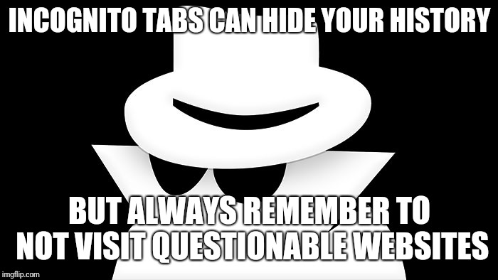 incognito | INCOGNITO TABS CAN HIDE YOUR HISTORY BUT ALWAYS REMEMBER TO NOT VISIT QUESTIONABLE WEBSITES | image tagged in incognito | made w/ Imgflip meme maker