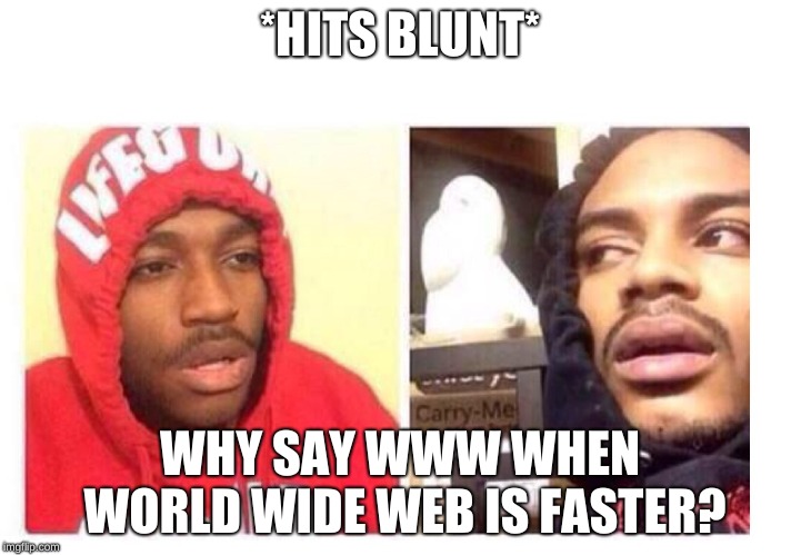 Hits blunt | *HITS BLUNT*; WHY SAY WWW WHEN WORLD WIDE WEB IS FASTER? | image tagged in hits blunt | made w/ Imgflip meme maker
