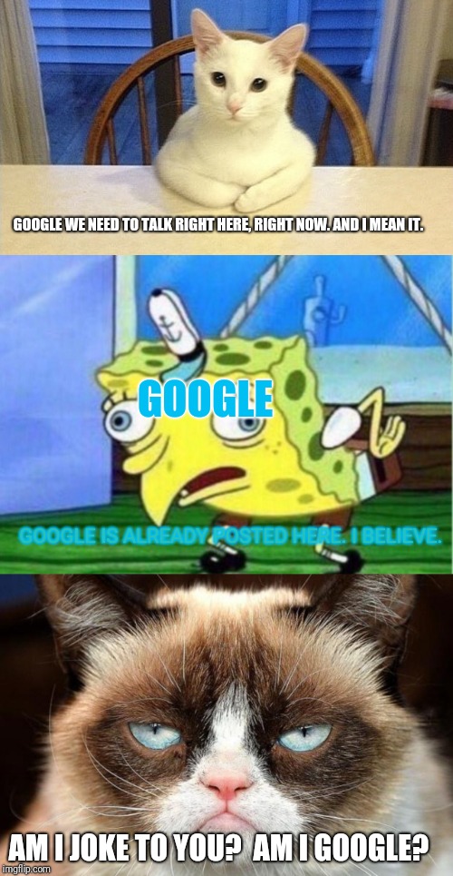 Is Google retarded or something?  | GOOGLE WE NEED TO TALK RIGHT HERE, RIGHT NOW. AND I MEAN IT. GOOGLE; GOOGLE IS ALREADY POSTED HERE. I BELIEVE. AM I JOKE TO YOU?  AM I GOOGLE? | image tagged in memes,grumpy cat not amused,mocking spongebob,we need to talk cat,google we need to talk,google | made w/ Imgflip meme maker