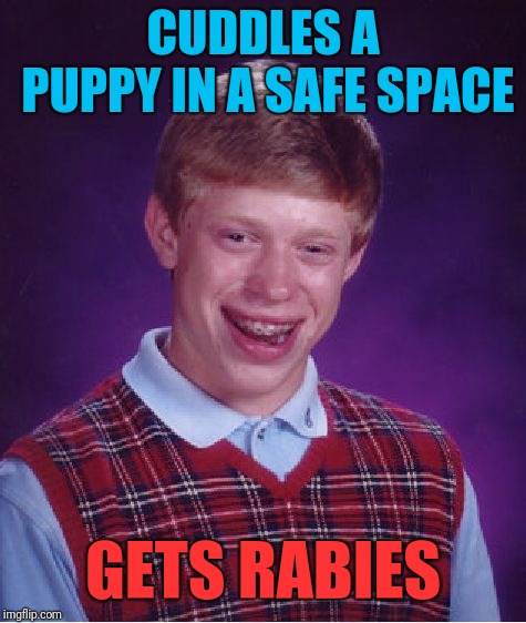 Bad Luck Brian | CUDDLES A PUPPY IN A SAFE SPACE; GETS RABIES | image tagged in memes,bad luck brian | made w/ Imgflip meme maker