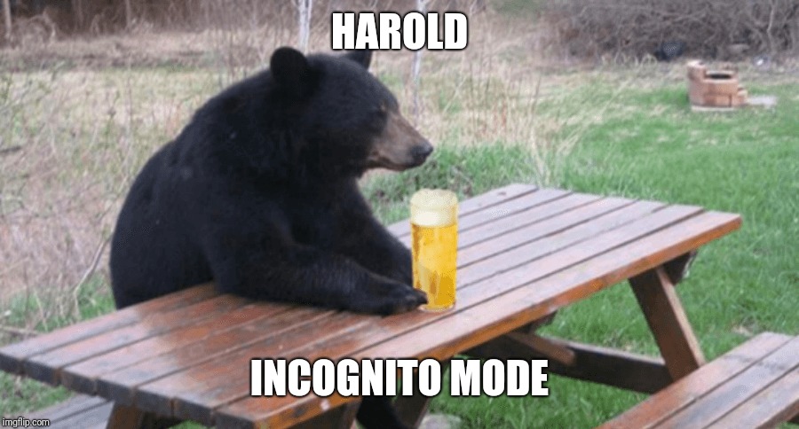 HAROLD INCOGNITO MODE | made w/ Imgflip meme maker