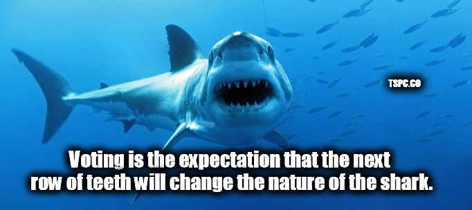 Voting is the expectation that the next row of teeth will change the nature of the shark. | TSPC.CO; Voting is the expectation that the next row of teeth will change the nature of the shark. | image tagged in voting,slave suggestion box,politics,political meme,shark,sharks | made w/ Imgflip meme maker