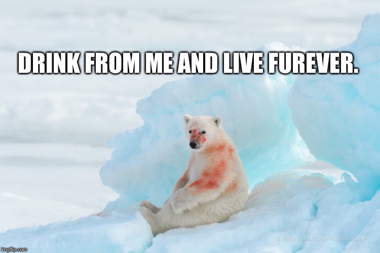 interview with the bear | DRINK FROM ME AND LIVE FUREVER. | image tagged in vampires,bear memes,memes,movie quotes,anne rice,lestat | made w/ Imgflip meme maker