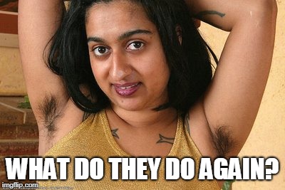 Hairy pits | WHAT DO THEY DO AGAIN? | image tagged in hairy pits | made w/ Imgflip meme maker