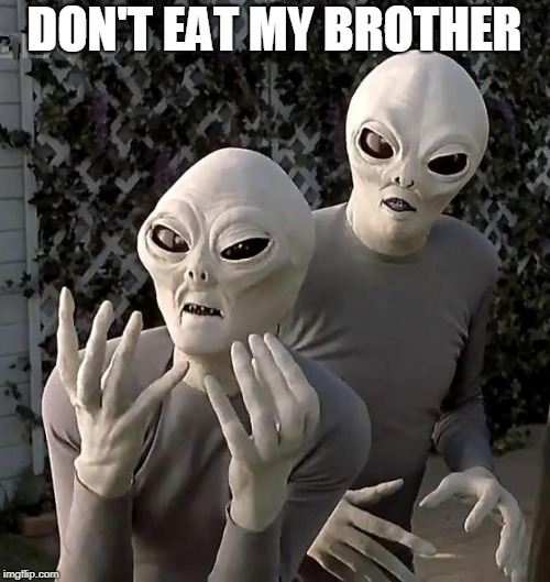 Aliens | DON'T EAT MY BROTHER | image tagged in aliens | made w/ Imgflip meme maker