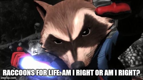 Rocket Raccoon | RACCOONS FOR LIFE. AM I RIGHT OR AM I RIGHT? | image tagged in memes,rocket raccoon | made w/ Imgflip meme maker