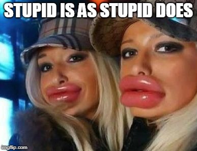 Duck Face Chicks | STUPID IS AS STUPID DOES | image tagged in memes,duck face chicks | made w/ Imgflip meme maker