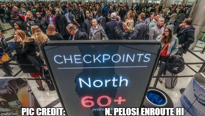 PIC CREDIT:                      N. PELOSI ENROUTE HI | image tagged in pelosiproblem | made w/ Imgflip meme maker