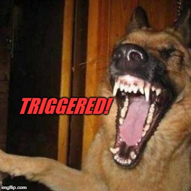 Laughing Dog | TRIGGERED! | image tagged in laughing dog | made w/ Imgflip meme maker