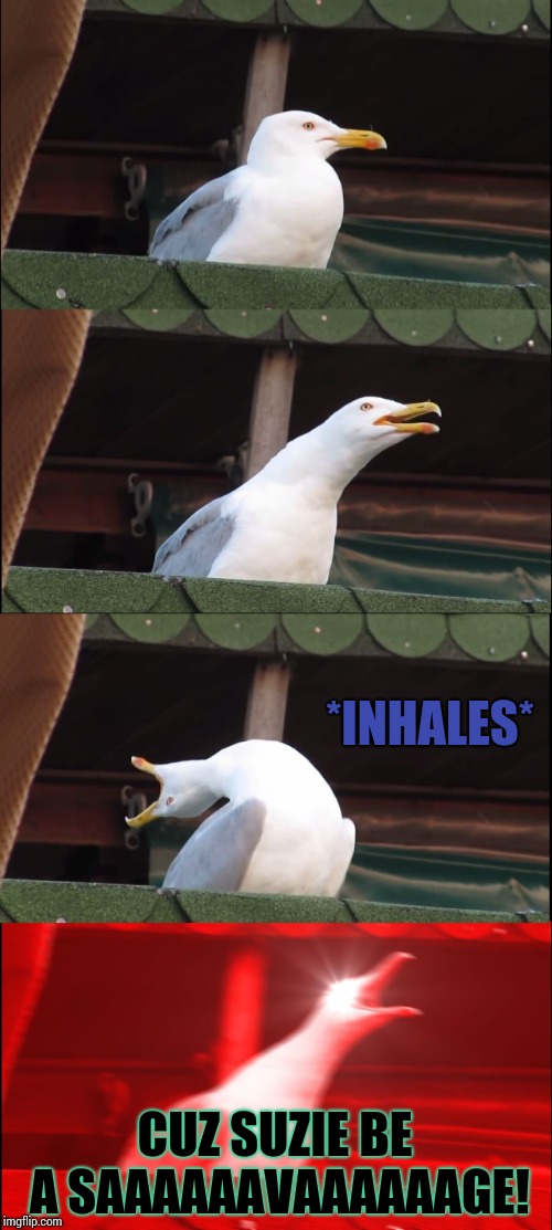 Inhaling Seagull Meme | *INHALES* CUZ SUZIE BE A SAAAAAAVAAAAAAGE! | image tagged in memes,inhaling seagull | made w/ Imgflip meme maker