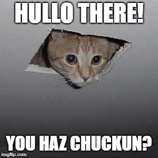 Ceiling Cat Meme | HULLO THERE! YOU HAZ CHUCKUN? | image tagged in memes,ceiling cat | made w/ Imgflip meme maker