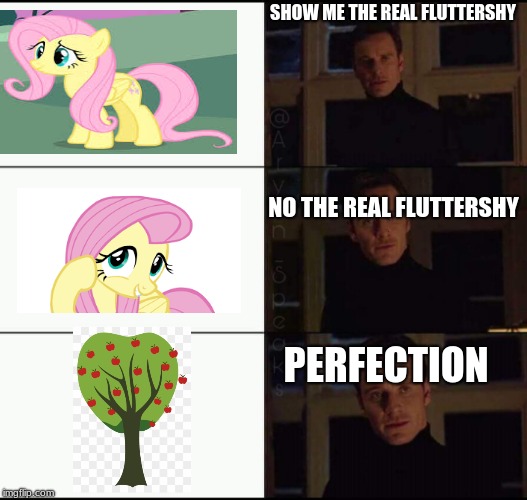 show me the real | SHOW ME THE REAL FLUTTERSHY; NO THE REAL FLUTTERSHY; PERFECTION | image tagged in show me the real | made w/ Imgflip meme maker