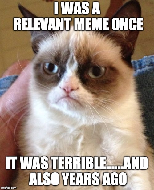 Grumpy Cat | I WAS A RELEVANT MEME ONCE; IT WAS TERRIBLE......AND ALSO YEARS AGO | image tagged in memes,grumpy cat | made w/ Imgflip meme maker