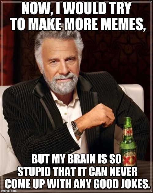 The Most Interesting Man In The World Meme | NOW, I WOULD TRY TO MAKE MORE MEMES, BUT MY BRAIN IS SO STUPID THAT IT CAN NEVER COME UP WITH ANY GOOD JOKES. | image tagged in memes,the most interesting man in the world | made w/ Imgflip meme maker