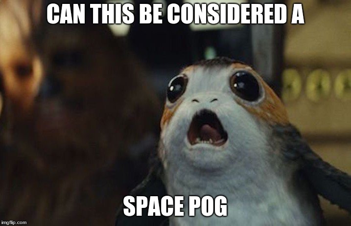Star Wars Porg | CAN THIS BE CONSIDERED A; SPACE POG | image tagged in star wars porg | made w/ Imgflip meme maker