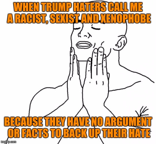 Makes me feel all tingly inside.  | WHEN TRUMP HATERS CALL ME A RACIST, SEXIST AND XENOPHOBE; BECAUSE THEY HAVE NO ARGUMENT OR FACTS TO BACK UP THEIR HATE | image tagged in that feeling when,hate donald trump,donald trump,leftists | made w/ Imgflip meme maker