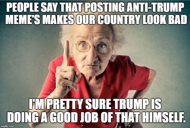 You're only as smart as the dumbest President in your country | PEOPLE SAY THAT POSTING ANTI-TRUMP MEME'S MAKES OUR COUNTRY LOOK BAD; I'M PRETTY SURE TRUMP IS DOING A GOOD JOB OF THAT HIMSELF. | image tagged in old woman shaking finger | made w/ Imgflip meme maker