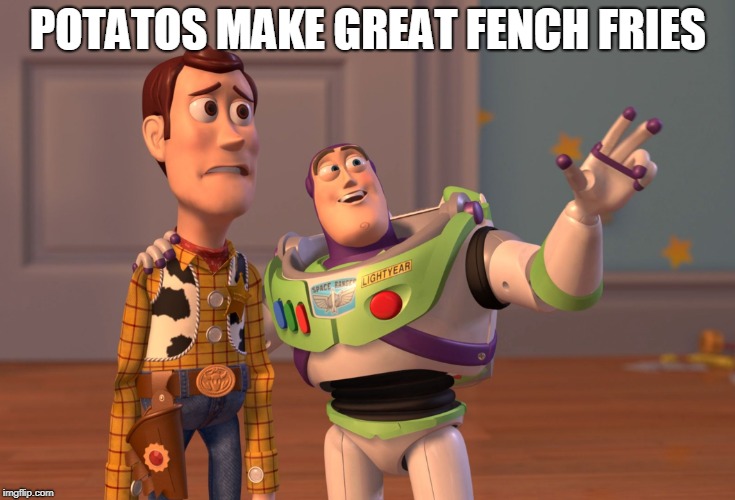 X, X Everywhere Meme | POTATOS MAKE GREAT FENCH FRIES | image tagged in memes,x x everywhere | made w/ Imgflip meme maker