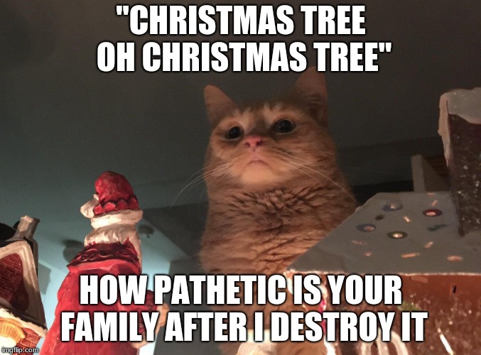 HOW PATHETIC IS YOUR FAMILY AFTER I DESTROY IT image tagged in pathetic mad...