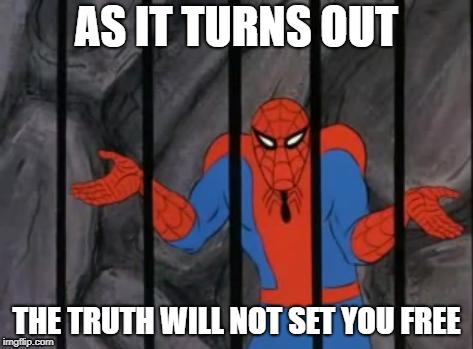 spiderman jail |  AS IT TURNS OUT; THE TRUTH WILL NOT SET YOU FREE | image tagged in spiderman jail | made w/ Imgflip meme maker