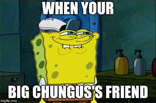 Don't You Squidward | WHEN YOUR; BIG CHUNGUS'S FRIEND | image tagged in memes,dont you squidward | made w/ Imgflip meme maker