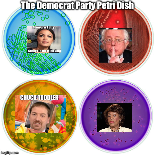The Democrat Party's Petri Dish | The Democrat Party Petri Dish | image tagged in ugly is,triggered,democrat party,the ridiculers | made w/ Imgflip meme maker