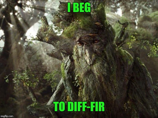 Treebeard Meme | I BEG TO DIFF-FIR | image tagged in treebeard meme | made w/ Imgflip meme maker