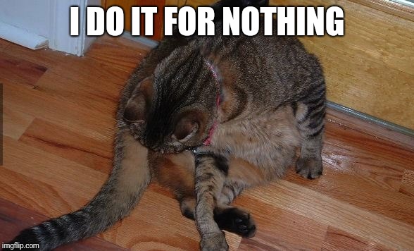 cat licking balls | I DO IT FOR NOTHING | image tagged in cat licking balls | made w/ Imgflip meme maker