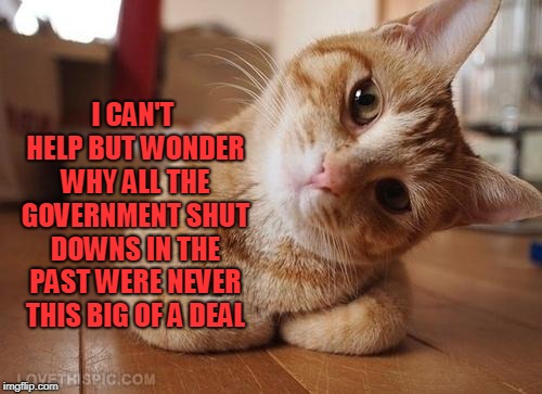 Curious Question Cat | I CAN'T HELP BUT WONDER WHY ALL THE GOVERNMENT SHUT DOWNS IN THE PAST WERE NEVER THIS BIG OF A DEAL | image tagged in curious question cat | made w/ Imgflip meme maker