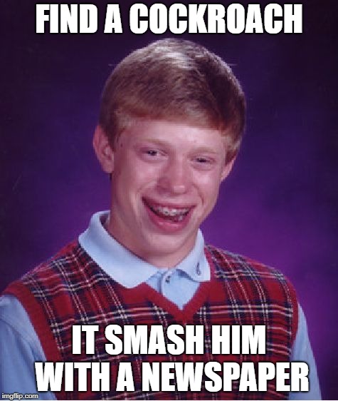 Even roaches are higher than brian in the social hierarchy | FIND A COCKROACH; IT SMASH HIM WITH A NEWSPAPER | image tagged in memes,bad luck brian | made w/ Imgflip meme maker
