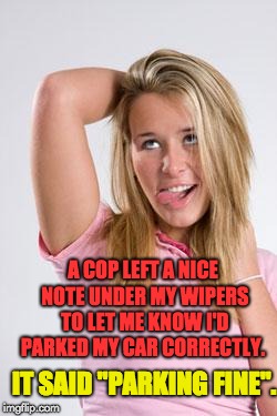dumb white girl | A COP LEFT A NICE NOTE UNDER MY WIPERS TO LET ME KNOW I'D PARKED MY CAR CORRECTLY. IT SAID "PARKING FINE". | image tagged in dumb white girl | made w/ Imgflip meme maker