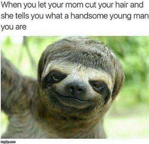 when your mom cuts your hair | image tagged in hair | made w/ Imgflip meme maker