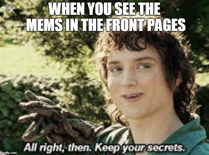 Frodo secrets | WHEN YOU SEE THE MEMS IN THE FRONT PAGES | image tagged in frodo secrets | made w/ Imgflip meme maker