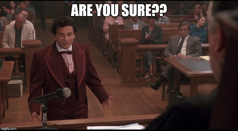 My Cousin Vinny | ARE YOU SURE?? | image tagged in my cousin vinny | made w/ Imgflip meme maker