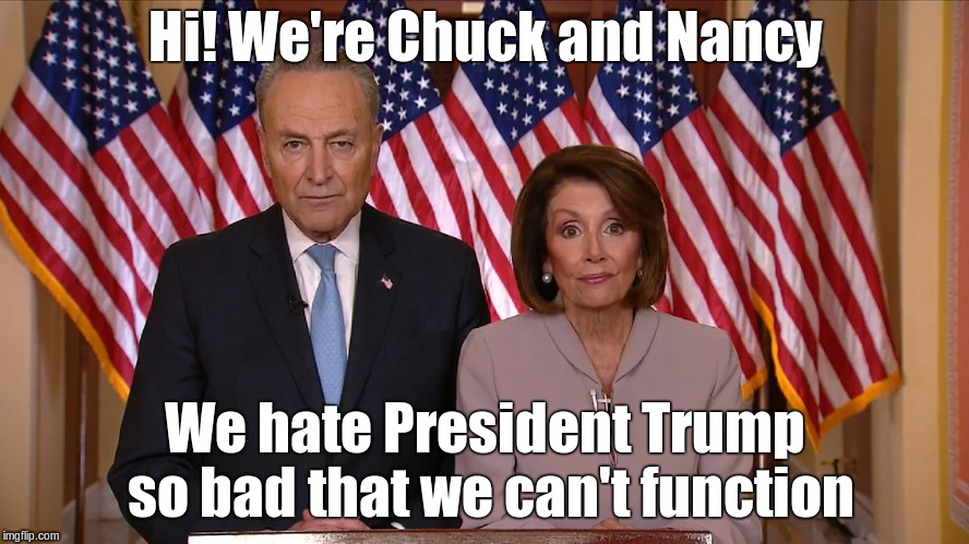 Chuck and Nancy | Hi! We're Chuck and Nancy; We hate President Trump so bad that we can't function | image tagged in chuck and nancy | made w/ Imgflip meme maker