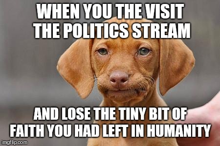 Dissapointed puppy | WHEN YOU THE VISIT THE POLITICS STREAM; AND LOSE THE TINY BIT OF FAITH YOU HAD LEFT IN HUMANITY | image tagged in dissapointed puppy | made w/ Imgflip meme maker