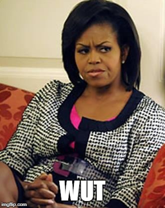 Michelle Obama is not pleased | WUT | image tagged in michelle obama is not pleased | made w/ Imgflip meme maker