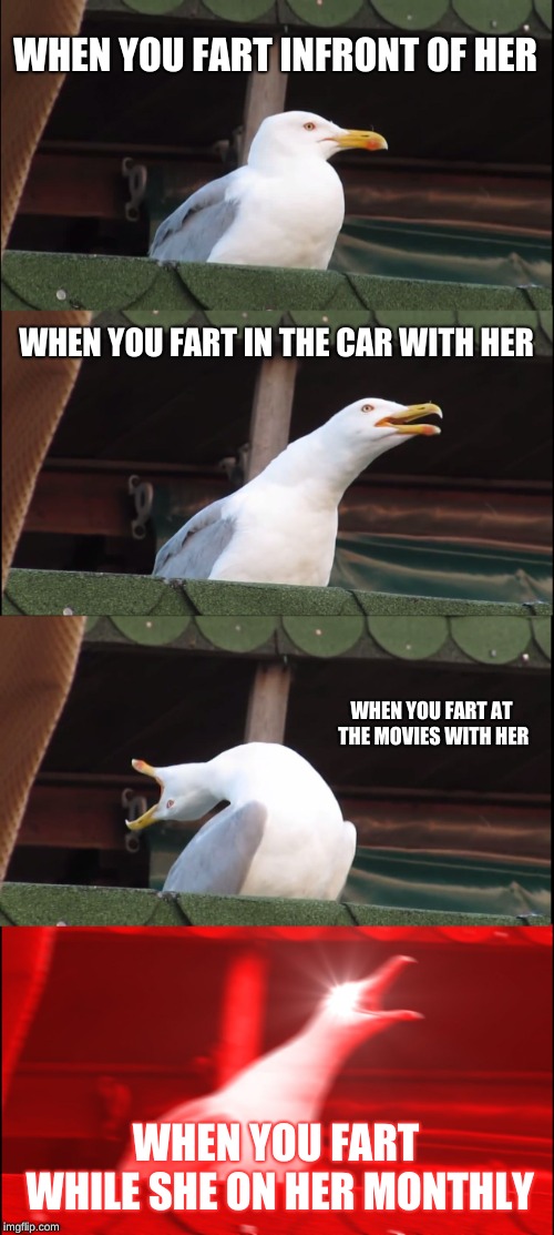 Inhaling Seagull Meme | WHEN YOU FART INFRONT OF HER; WHEN YOU FART IN THE CAR WITH HER; WHEN YOU FART AT THE MOVIES WITH HER; WHEN YOU FART WHILE SHE ON HER MONTHLY | image tagged in memes,inhaling seagull | made w/ Imgflip meme maker